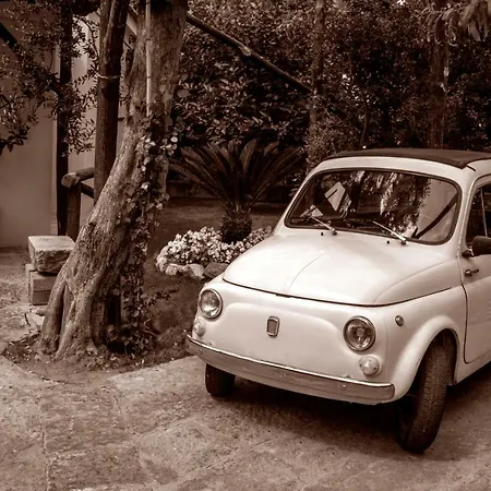 Casa Dei Fiori * Σορέντο