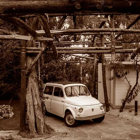 Σπίτι διακοπών Casa Dei Fiori Σορέντο